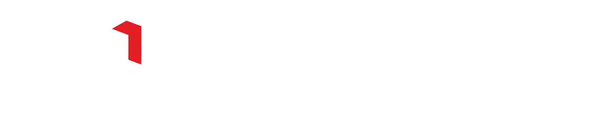 Blindo Home Security Design